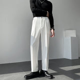 Men's Casual Trousers Drape Wide-leg Trousers Solid Color Straight-leg Trousers